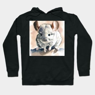 cute chinchilla 6 Hoodie